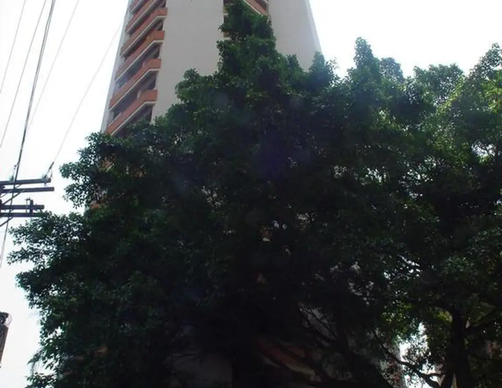 Edificio Maison Liege — foto 2
