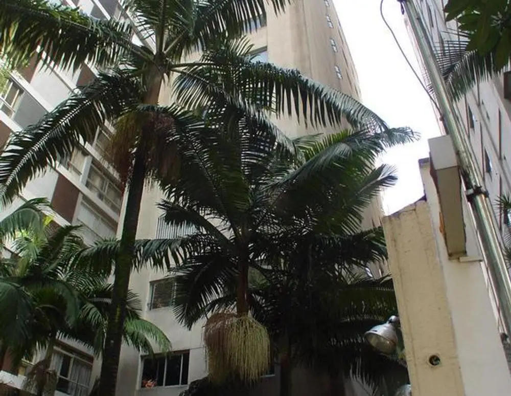 Edificio Don Carlos