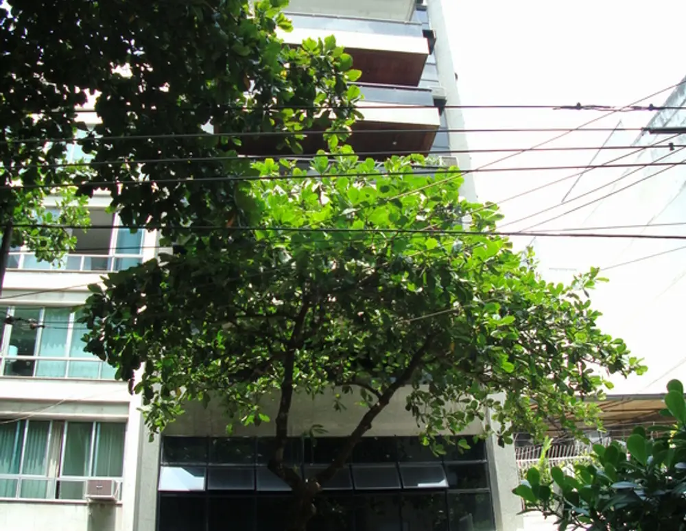 Edificio Aristides Espinola