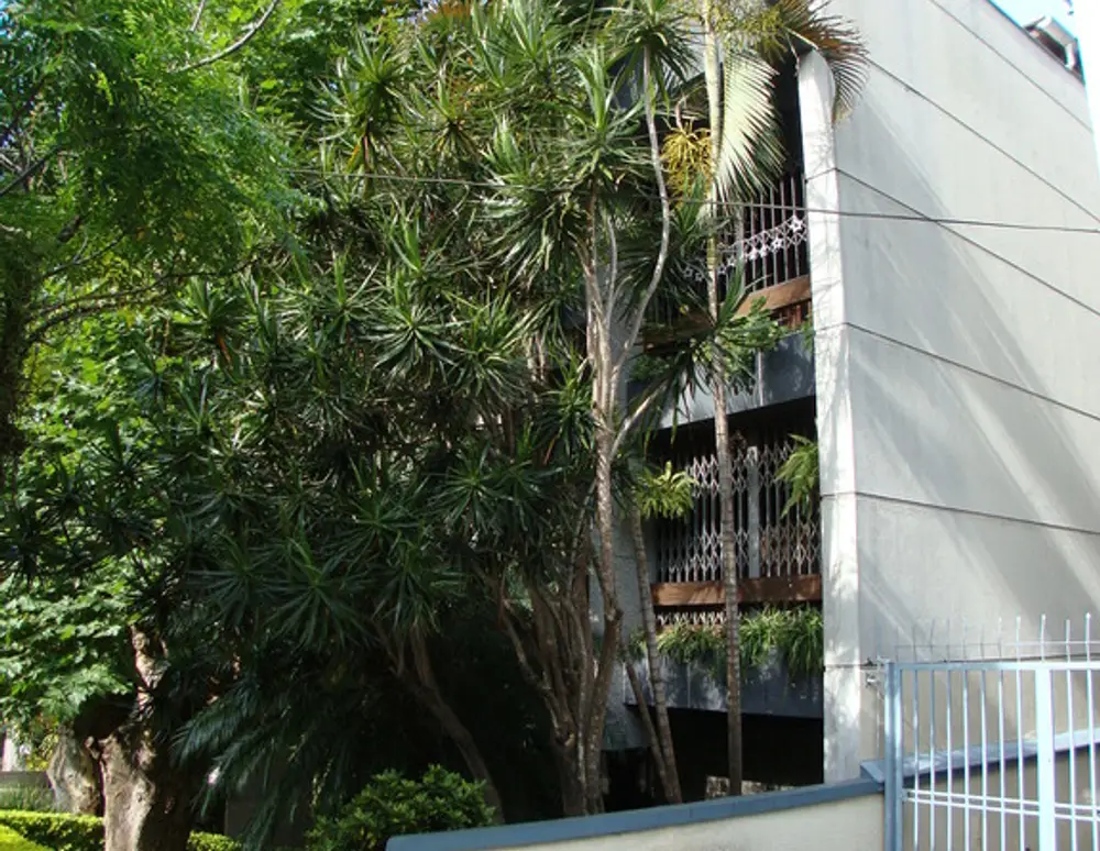 Edificio Dom Carlos