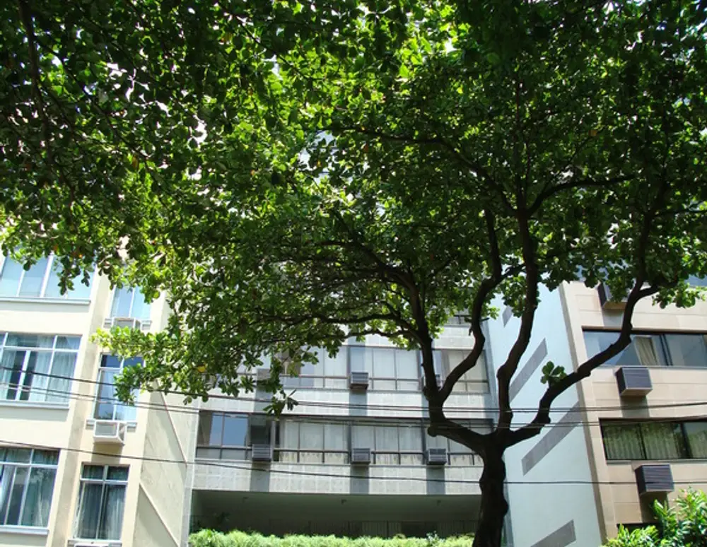 Edificio Maria Angelica Lins