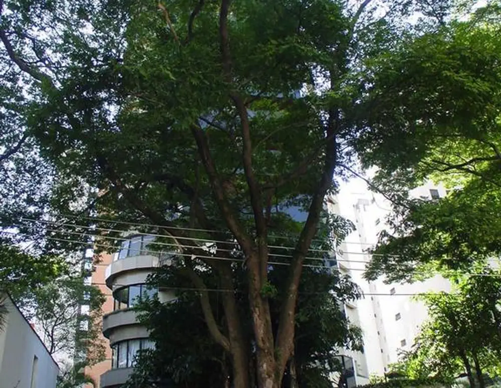 Edificio Campo Belo