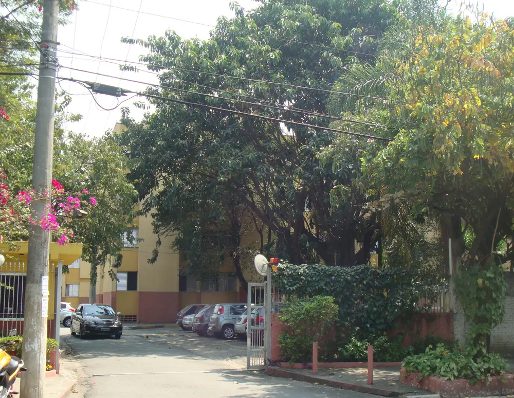 Margaridas e Outros — foto 2