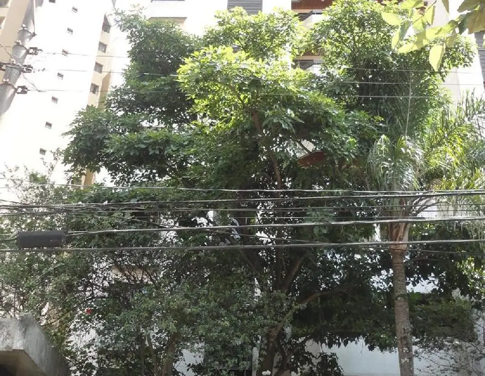 Edificio Skyline
