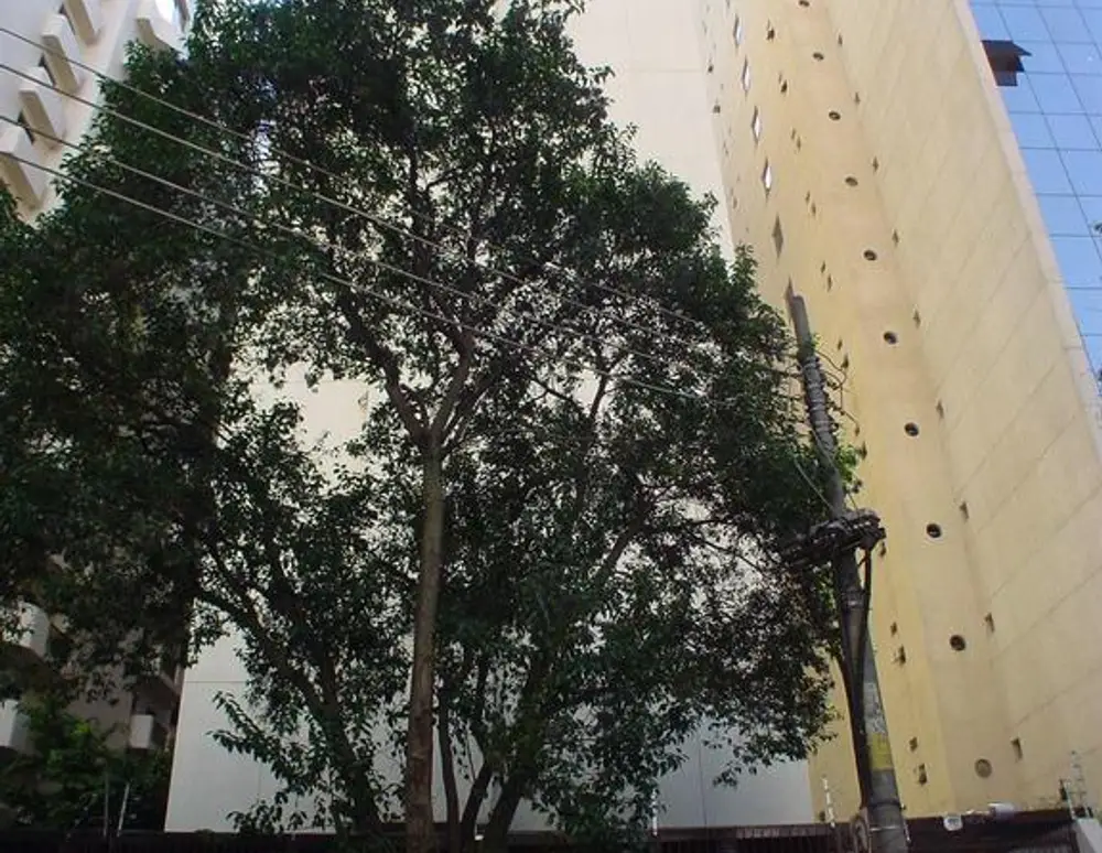Edificio Belo Horizonte
