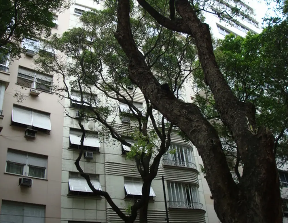 Edificio Royal Star