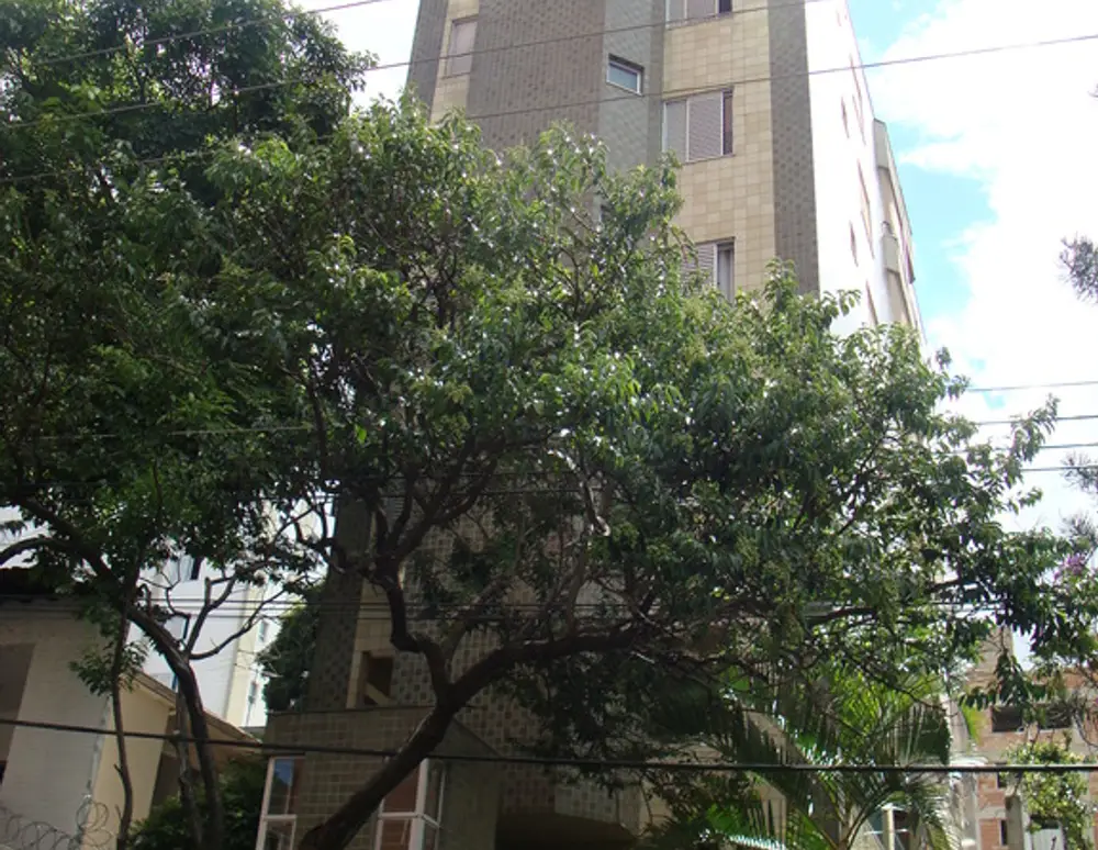Edificio Residencial Pegasus