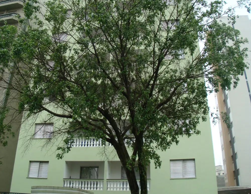 Edificio Leiria Ii