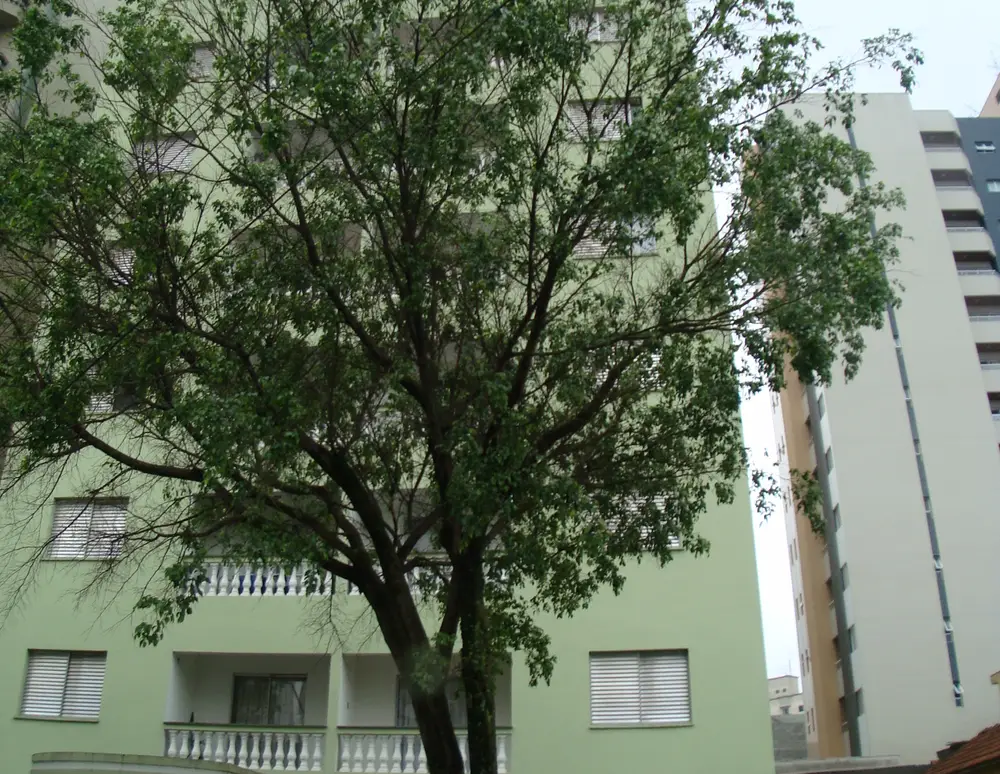 Edificio Leiria Ii — foto 2