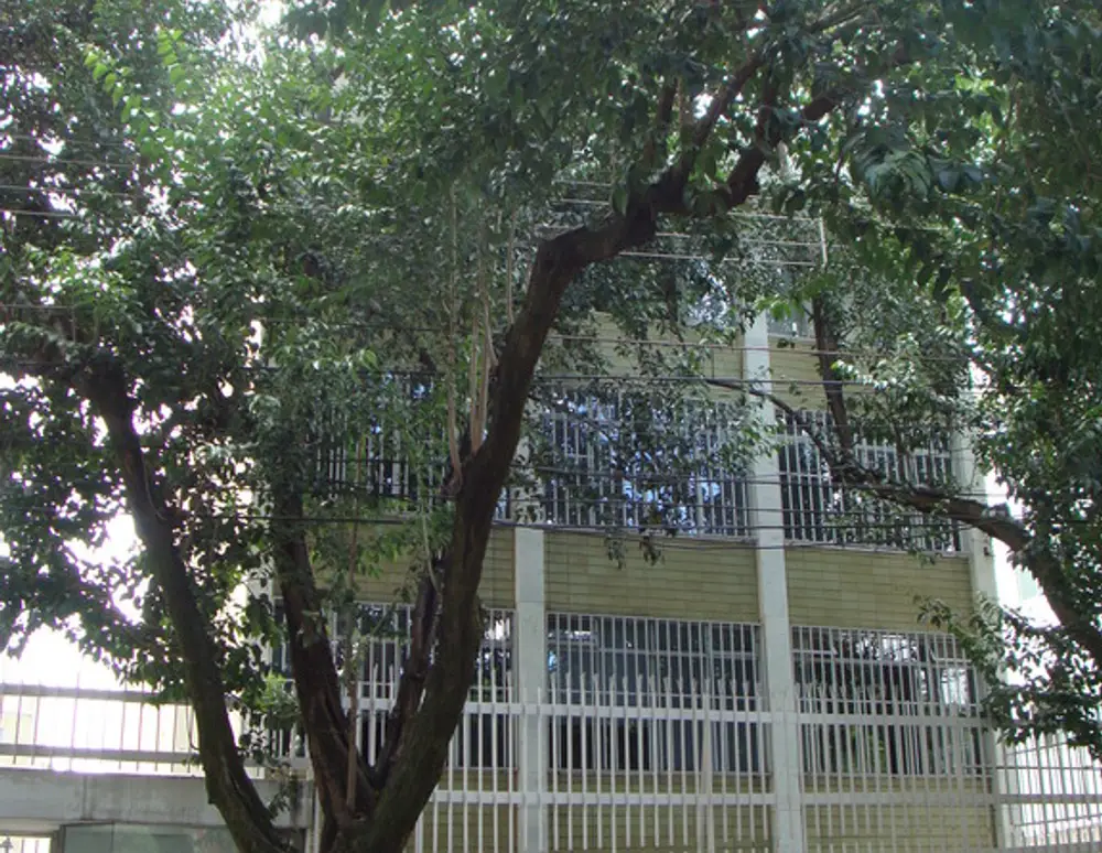Edificio Marcos Eduardo