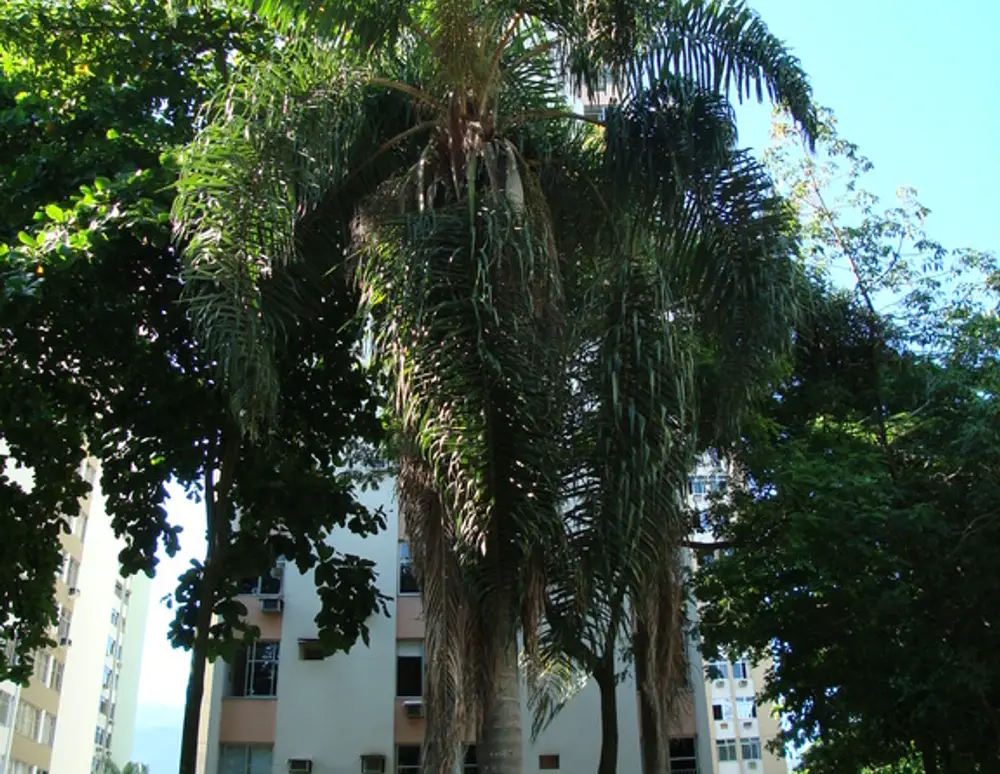 Edificio Mexico