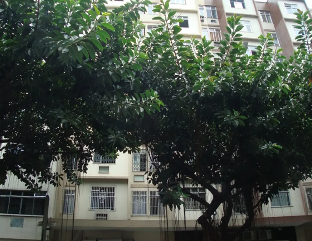 Edificio Hermitage
