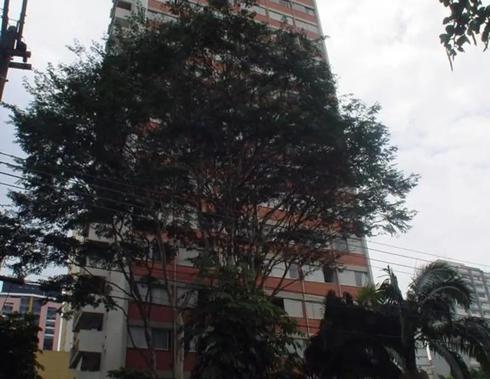 Edificio Jardins de Paraguacu — foto 2