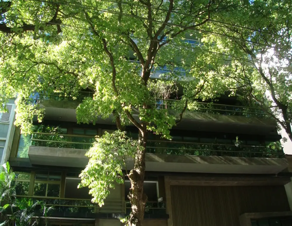 Edificio Positano