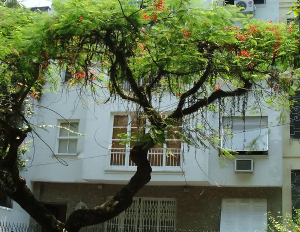 Edificio da Rua Redentor