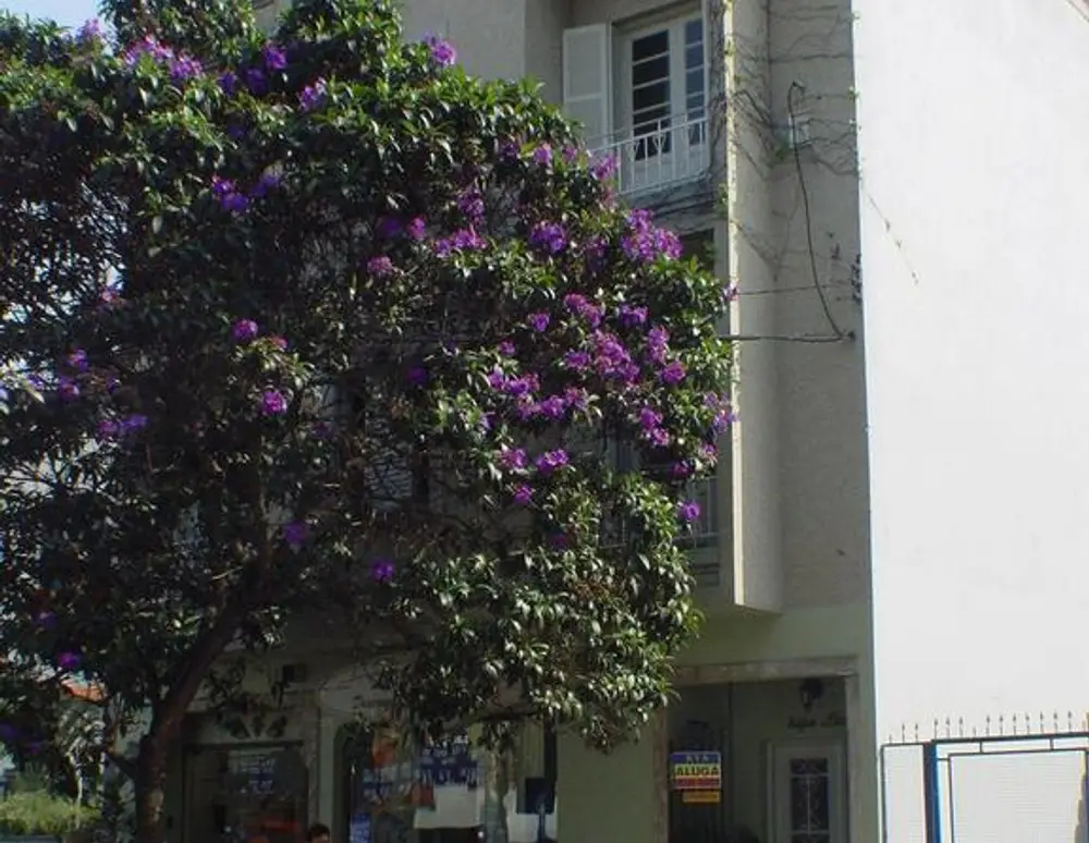Edifício Dinola