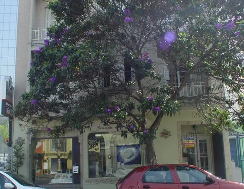 Edifício Dinola — foto 2