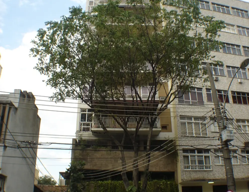 Edificio Portal do Barao