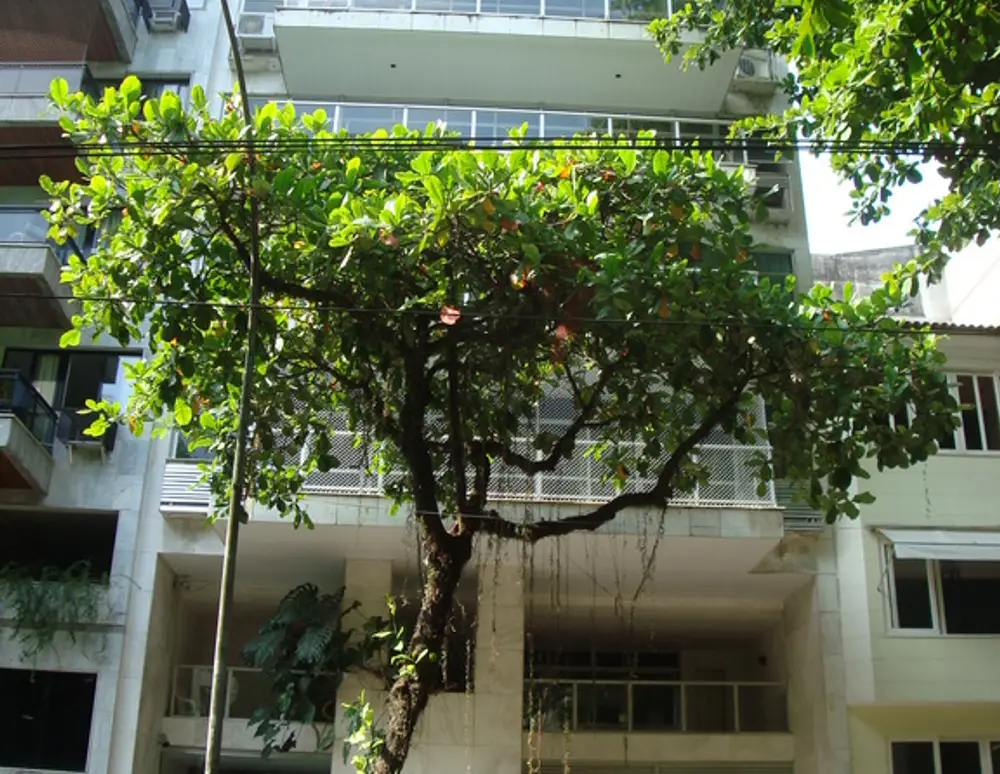 Edificio Prince de Galles