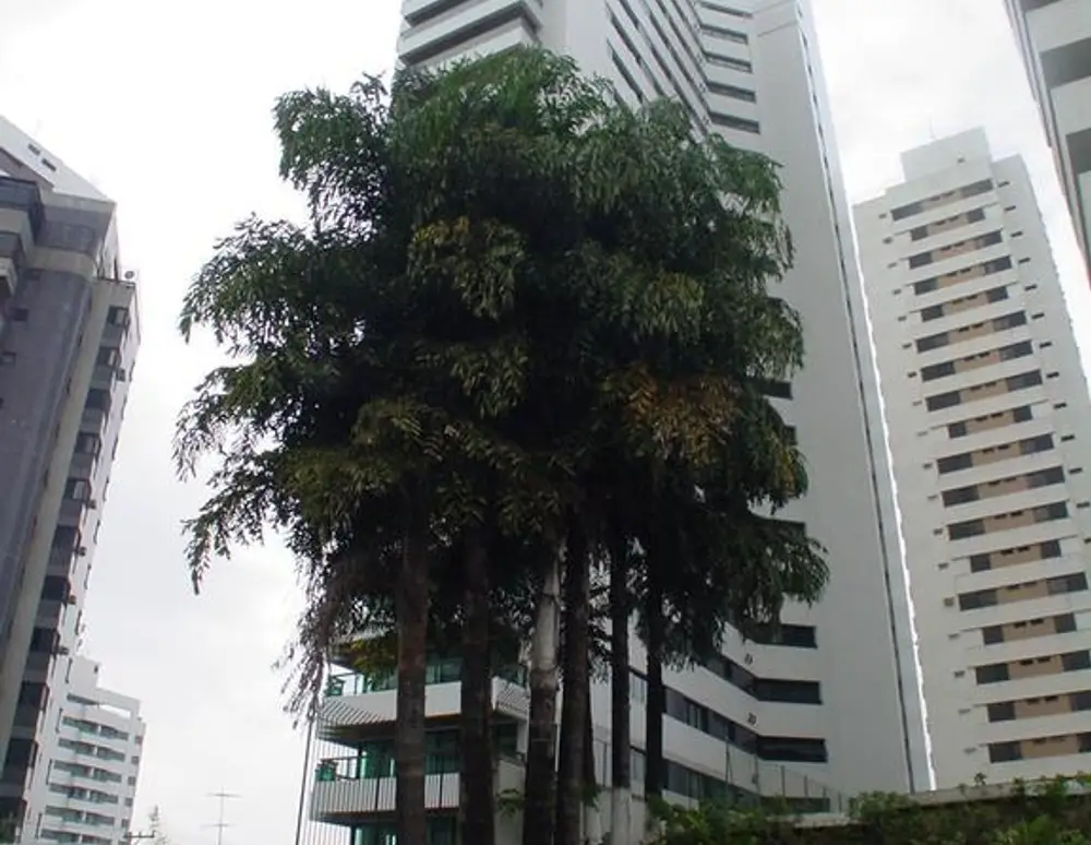 Edificio Granville — foto 2