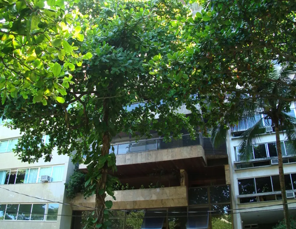 Edificio Franz Schubert
