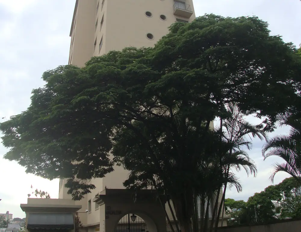 Edificio Madalena