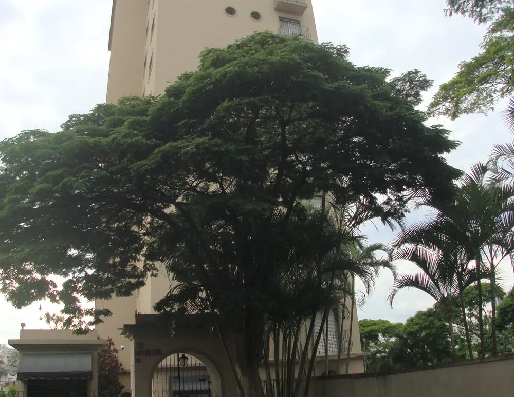 Edificio Madalena — foto 3