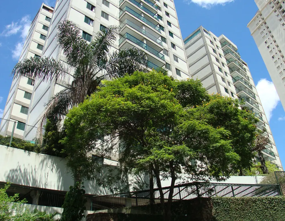 Santana's Contemporary Free Home