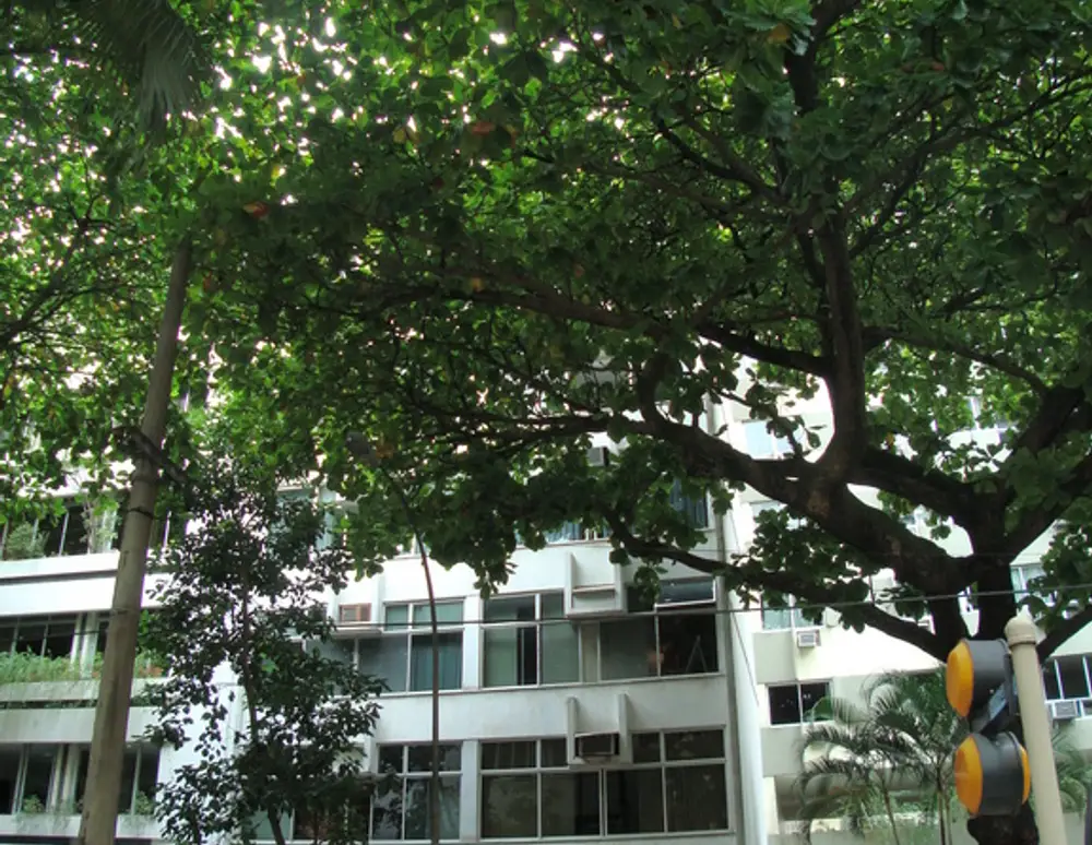 Edificio Solar Ariel