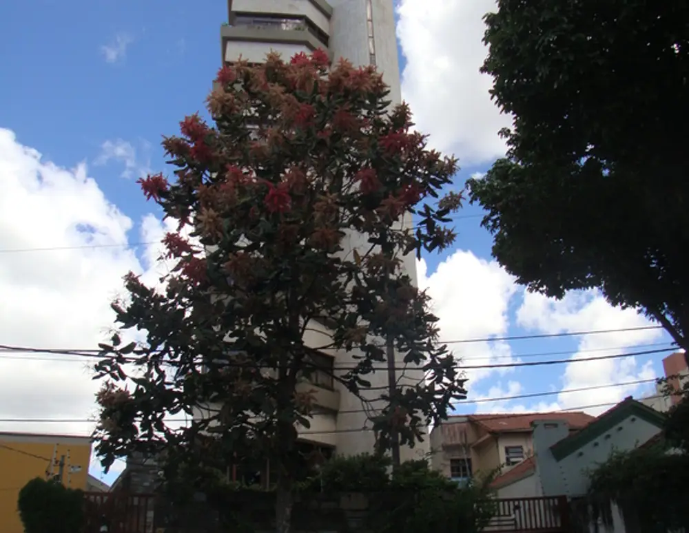 Edificio Cabaleiro