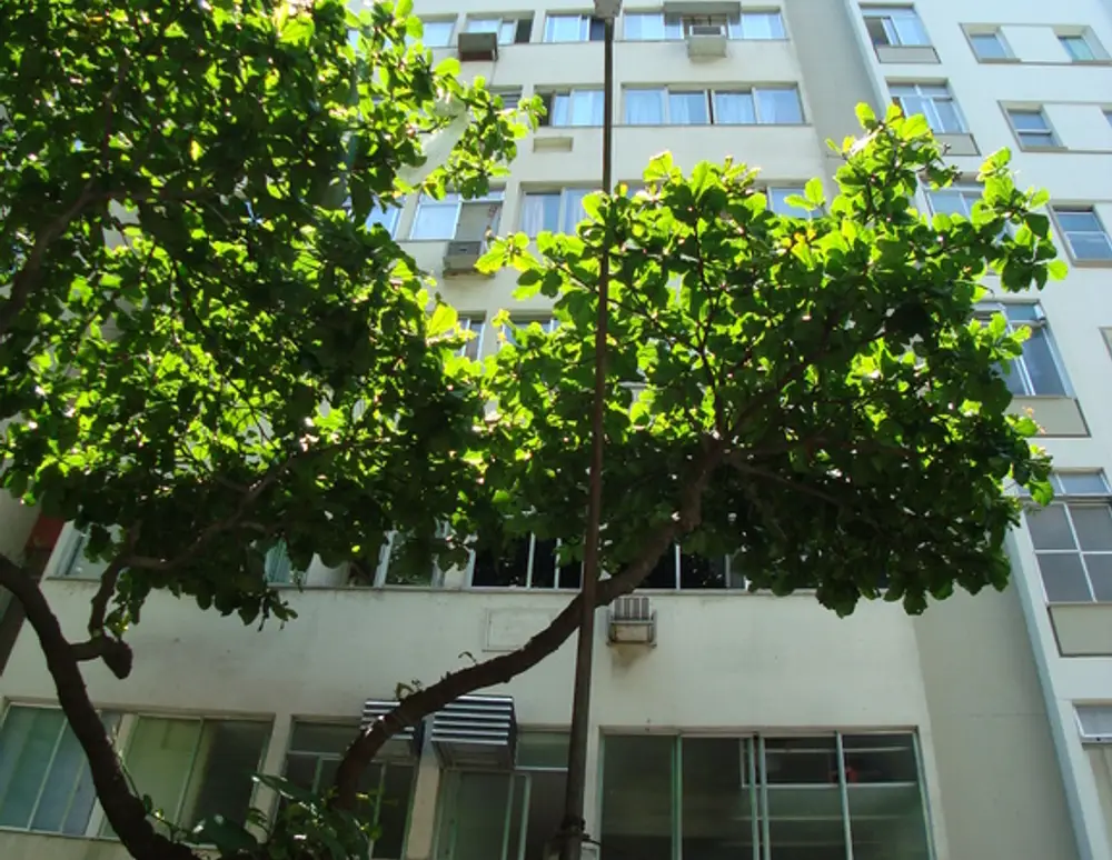 Edificio Marbelo