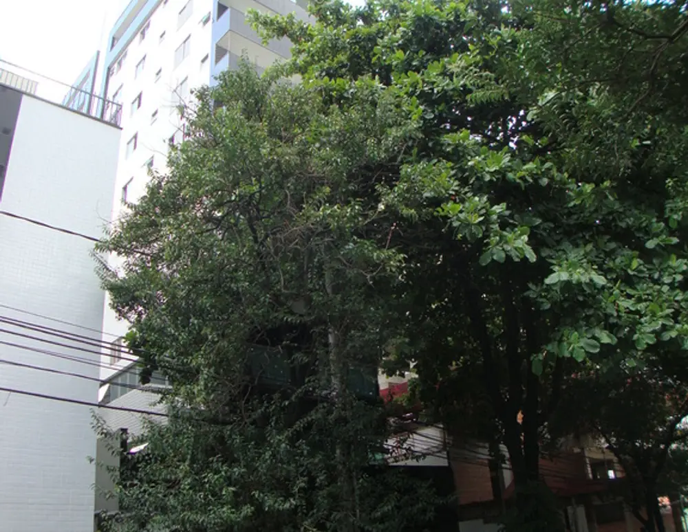 Residencial Kandinsky