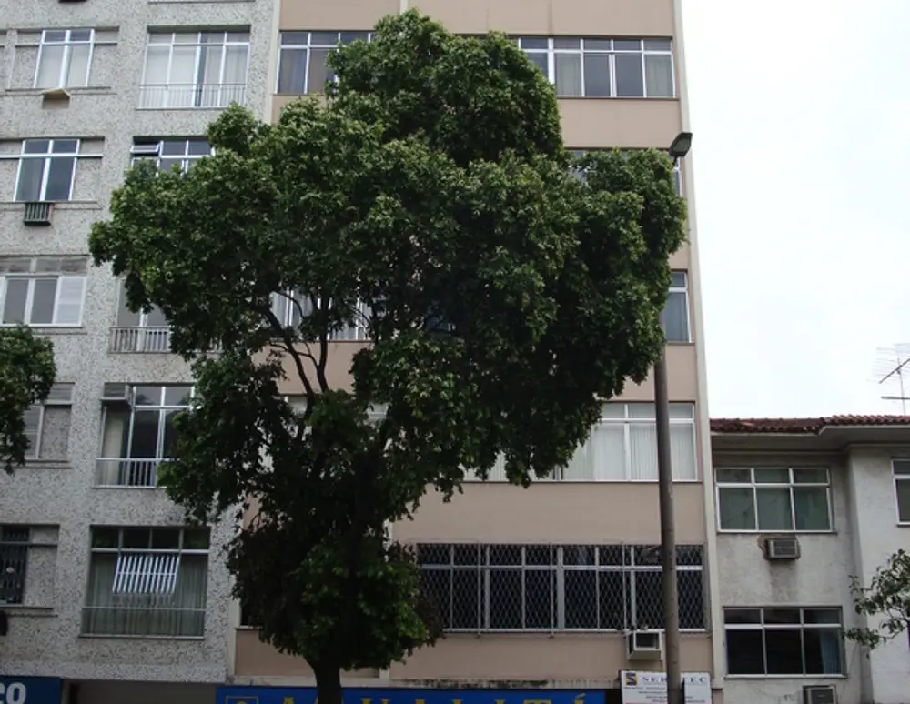 Edificio Del Oriente