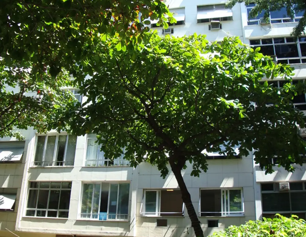 Edificio Barao de Tres Serros