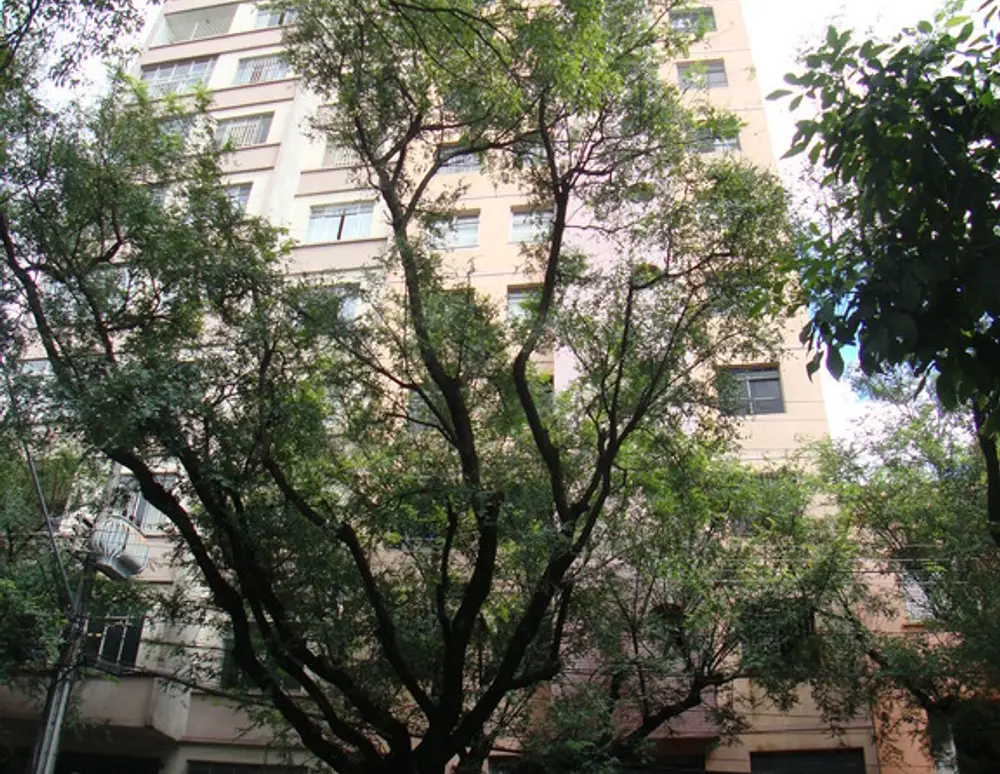 Edificio Floresta
