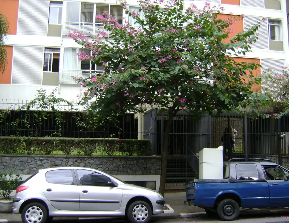 Edificio Caracas — foto 4