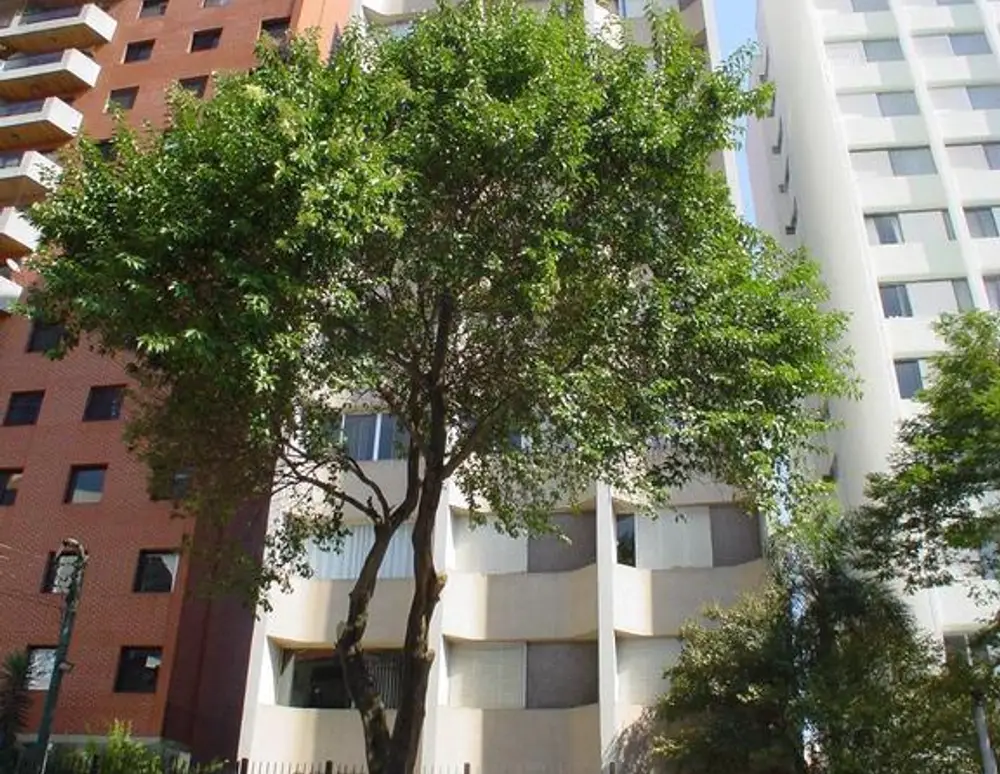 Edificio Odila Rocha Leite — foto 2