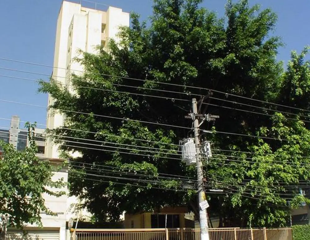 Edificio King David — foto 2