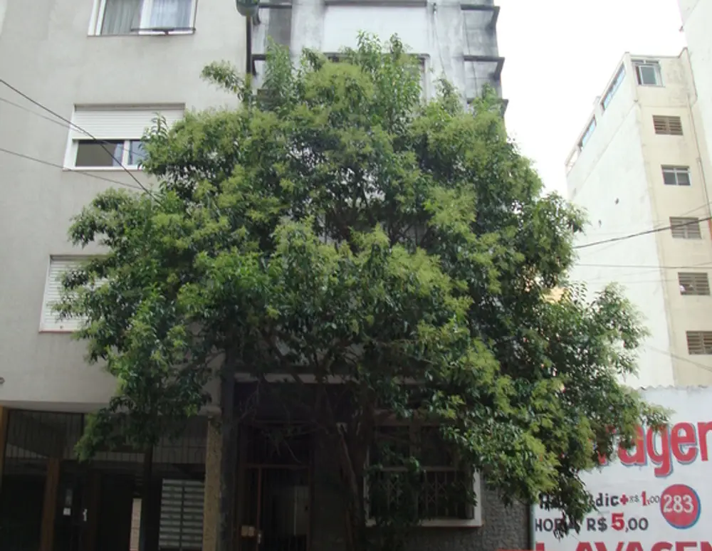 Edificio Montano
