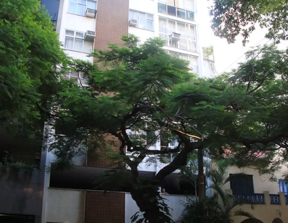 Edificio Nascimento Silva