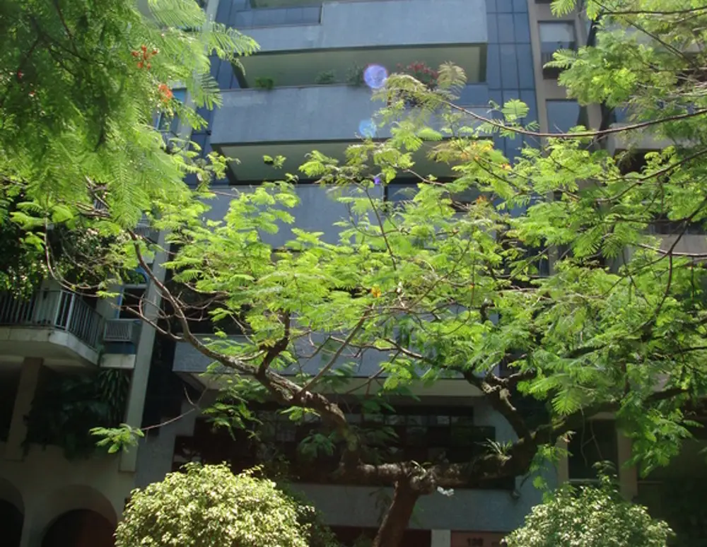 Edificio Olympo