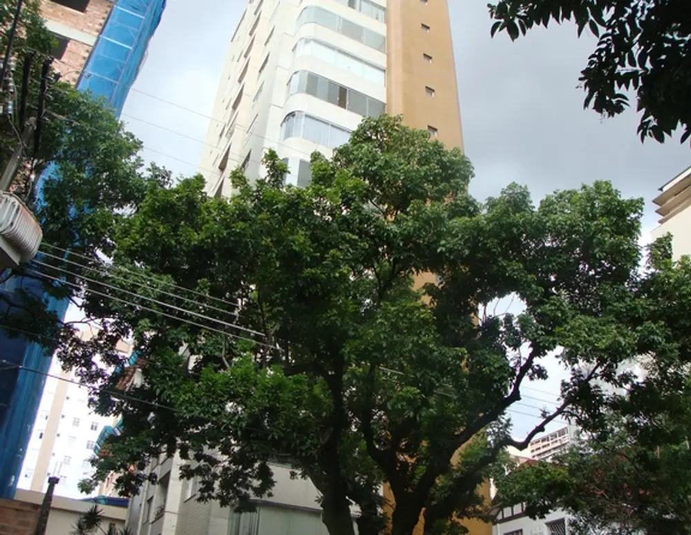 Edificio Luiz de Castro e Silva