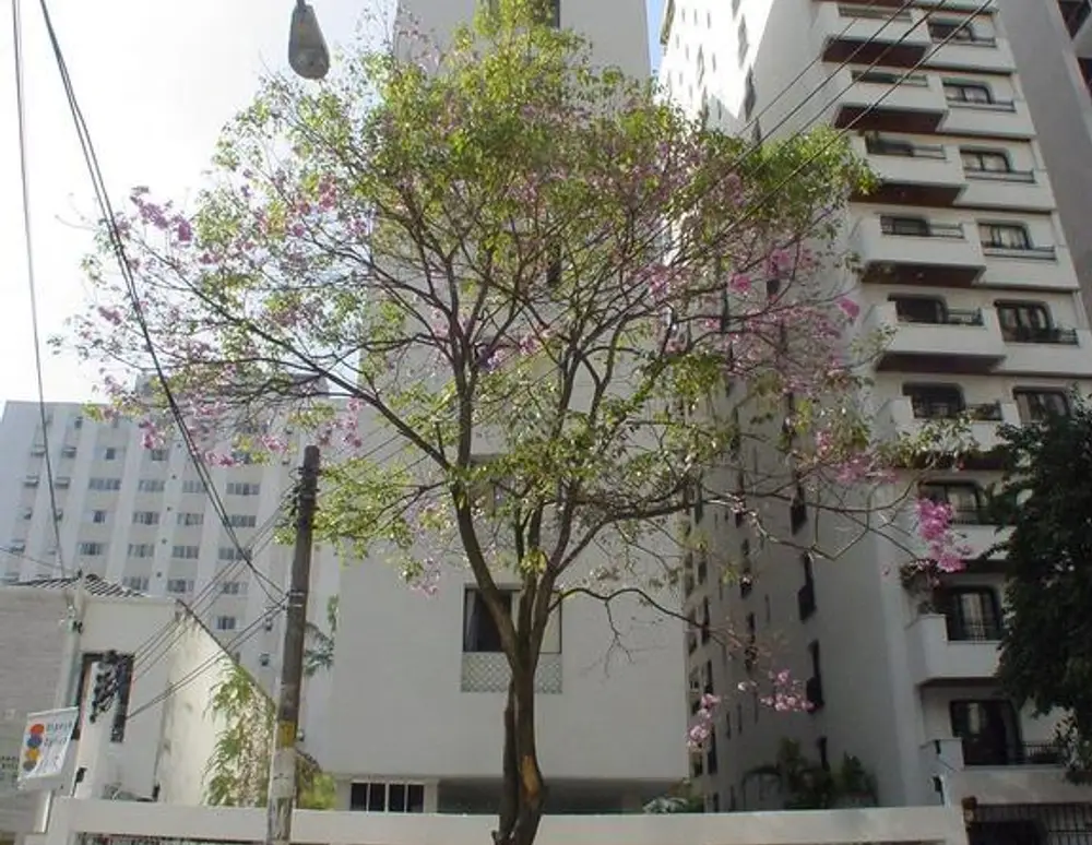 Edificio Provence