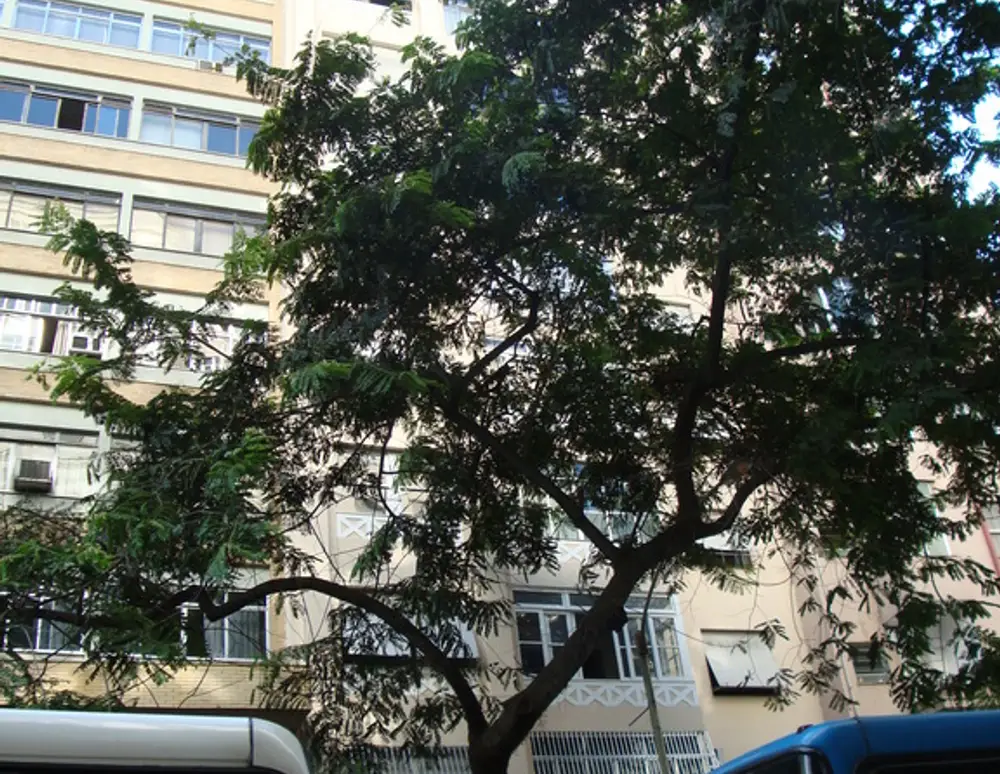 Edificio Majah