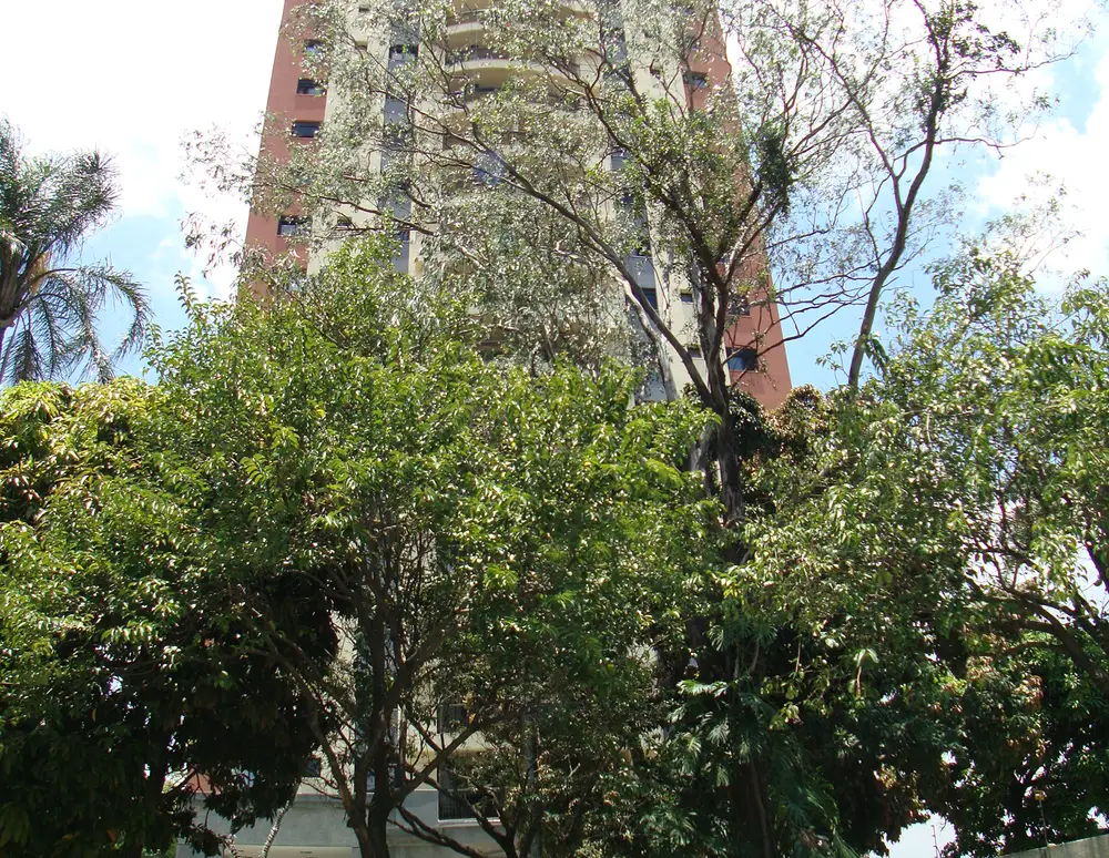 Verde Vale — foto 4