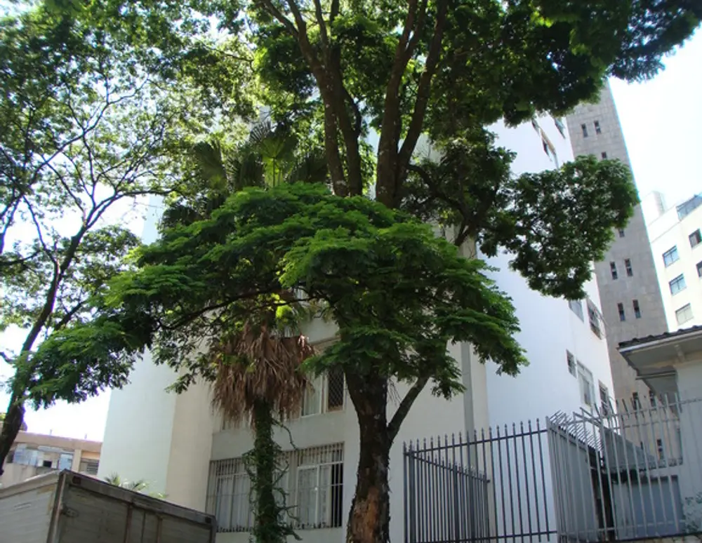 Edificio Simorian