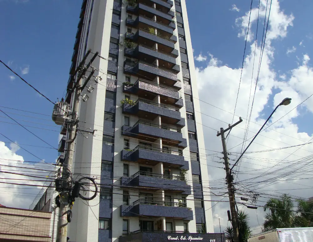 Ipoméia — foto 2