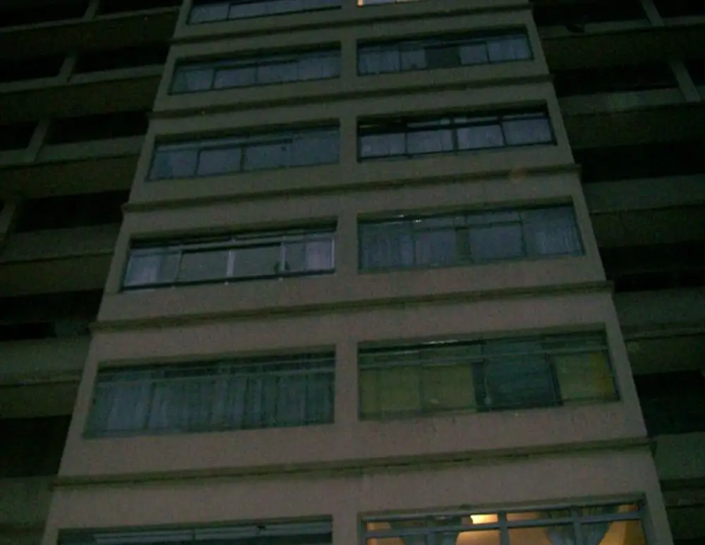 Silvana — foto 3