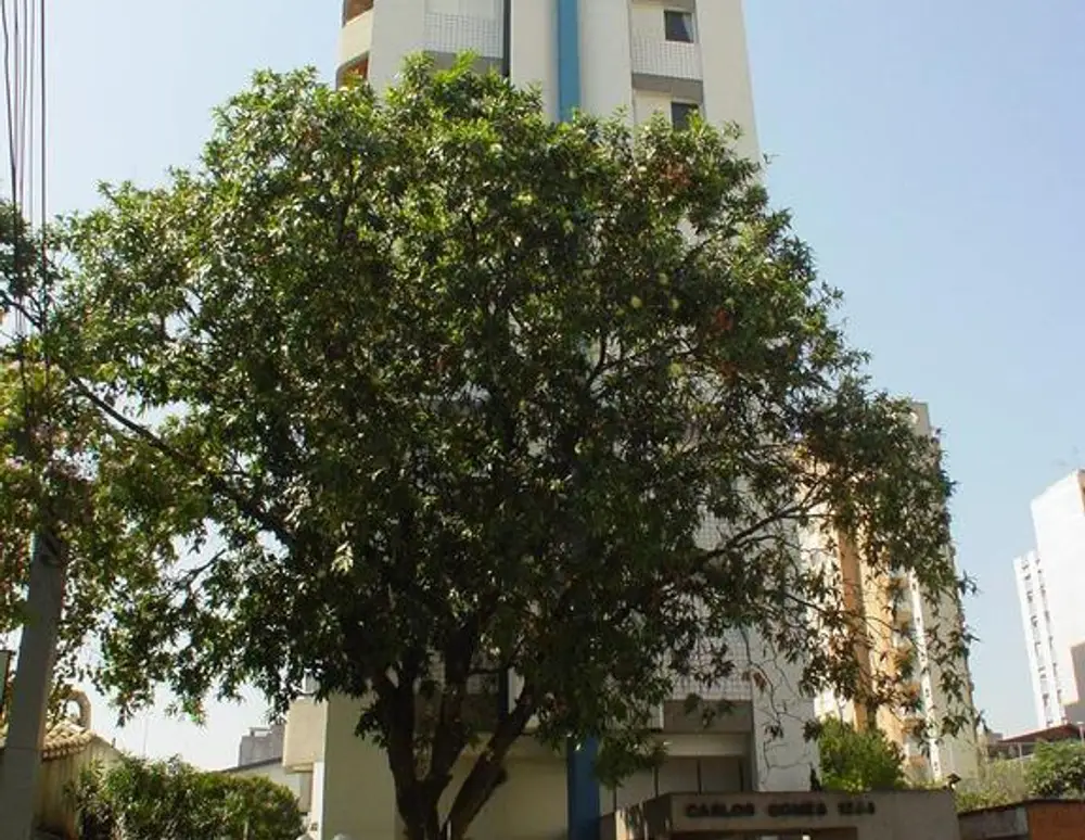Edificio Carlos Gomes — foto 2