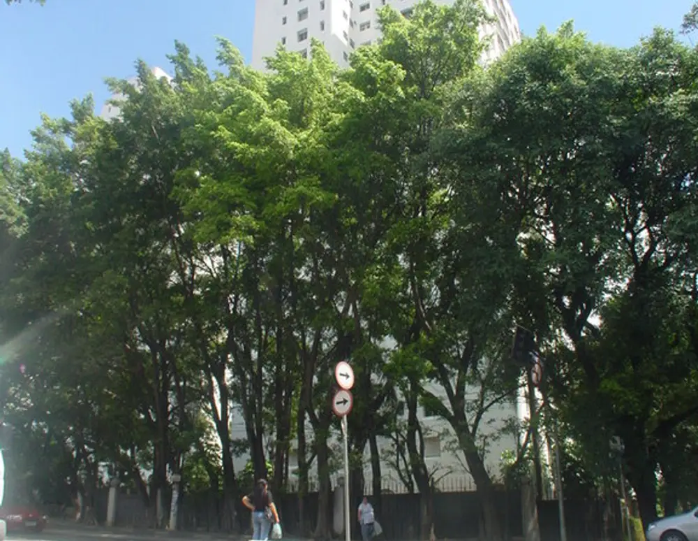 Conjunto Residencial Solar da Boa Vista — foto 3